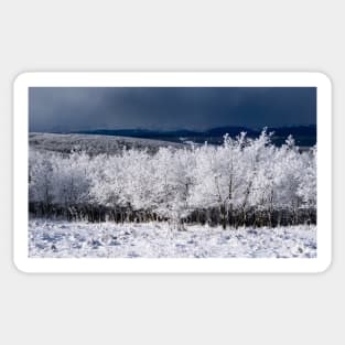 Winter Scene  with the Mountains in the background. Sticker